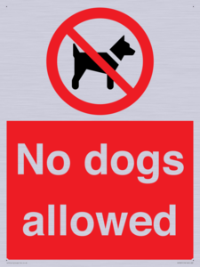 No dogs allowed